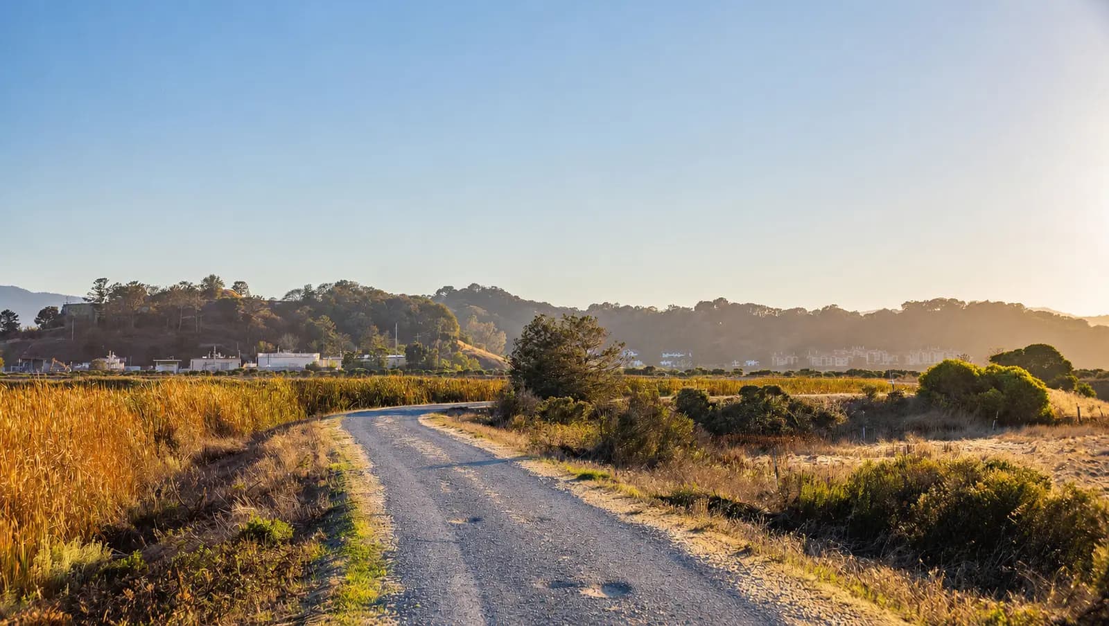 A gravel track with potholes starting in the wheel tracks, late afternoon light